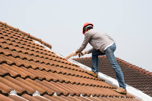 Best Roof Maintenance and Cleaning  in Ponce Inlet, FL